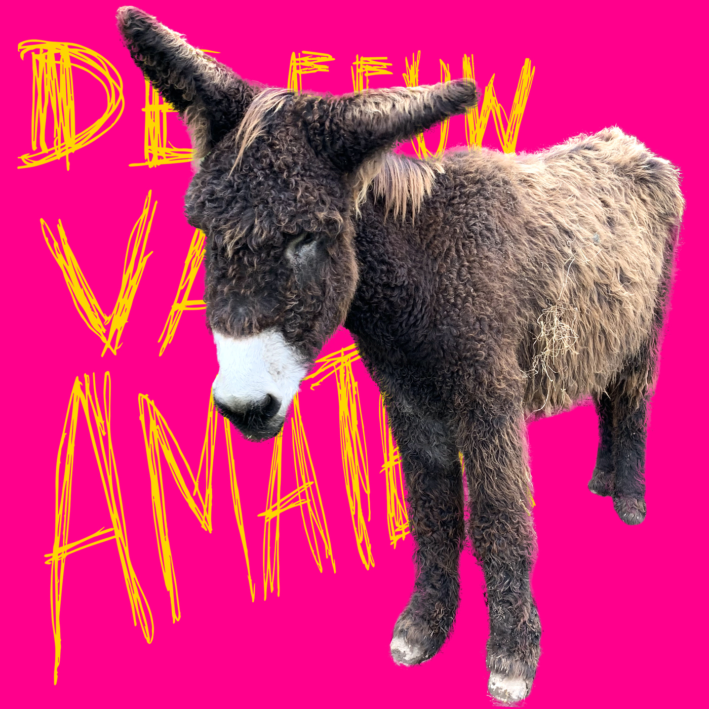 Een ezeltje in Angoulême episode artwork