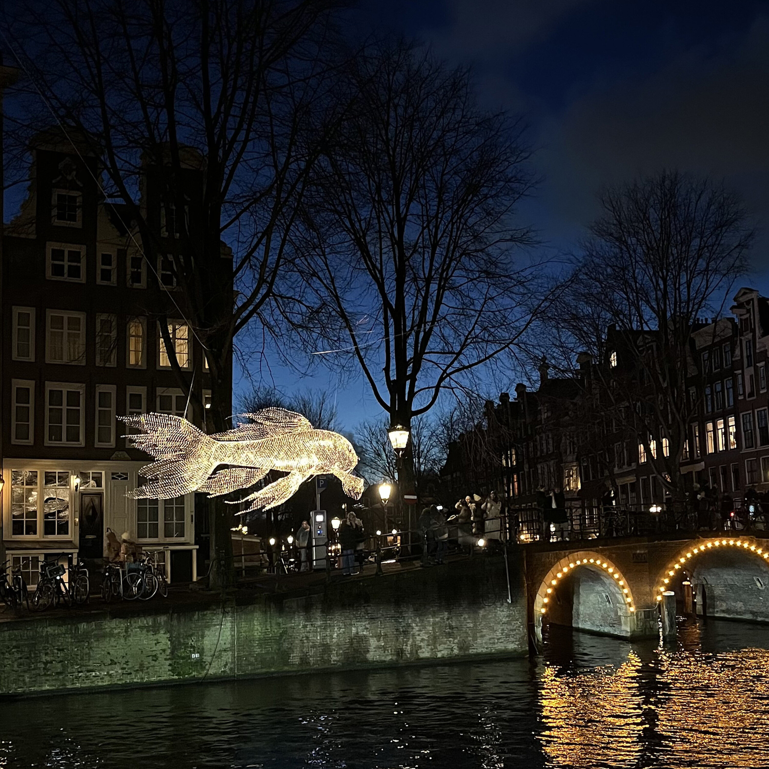 Niet helemaal nooit maar ook niet helemaal nooit wel - Amsterdam Light Festival 2025 voor Vrienden van de Show
