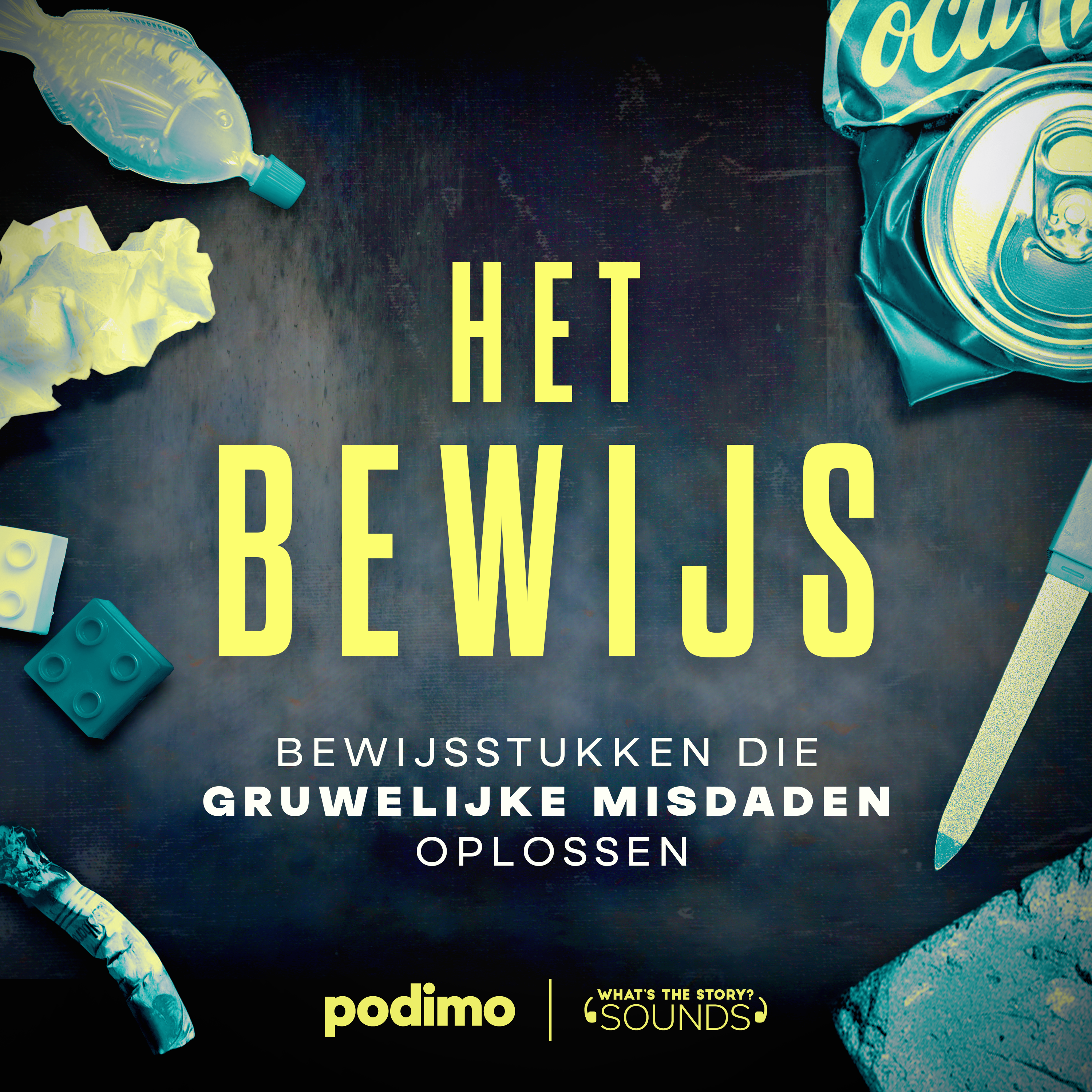 1. De Zwembroek