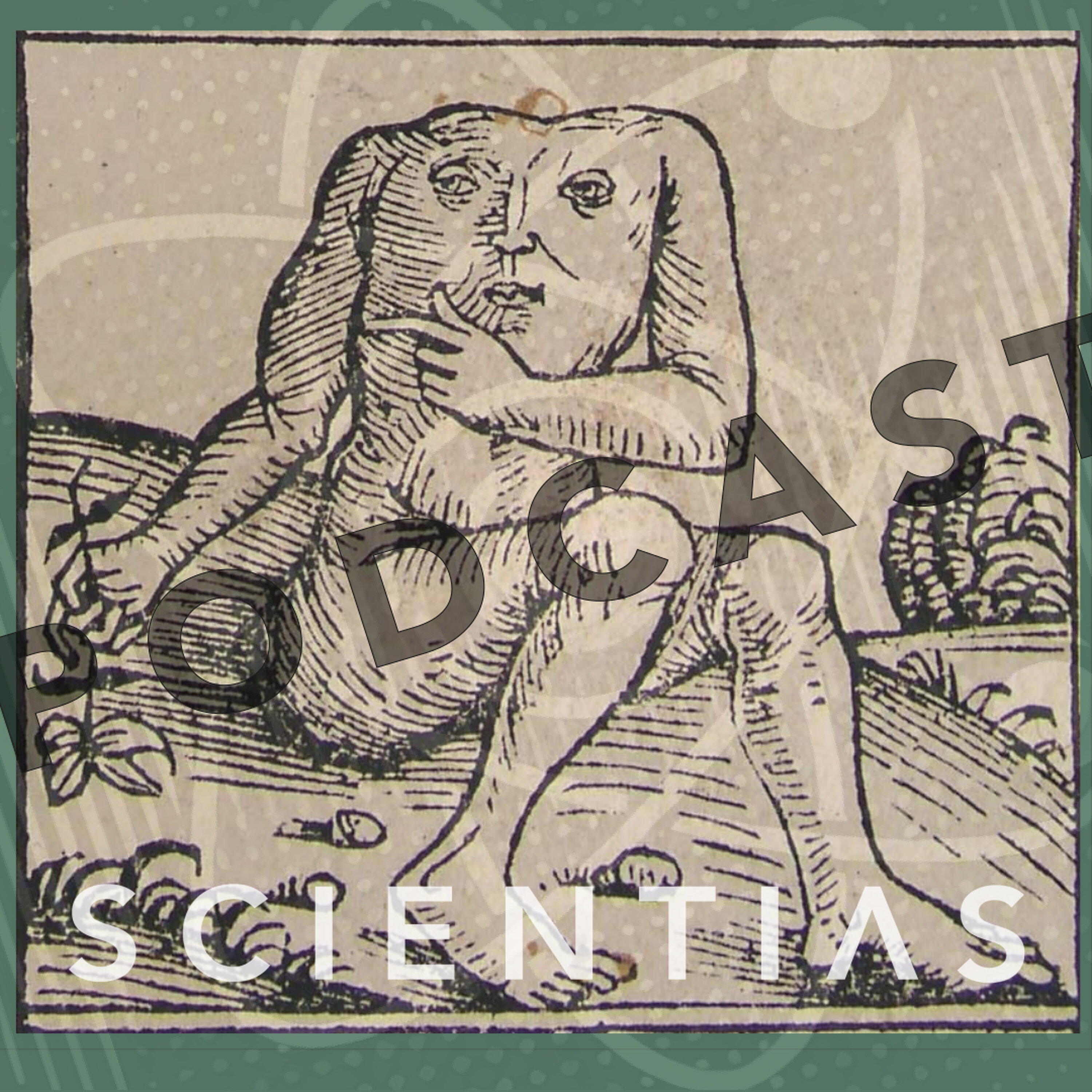 Kerst-mis 2025 | Scientias Podcast 50 episode artwork