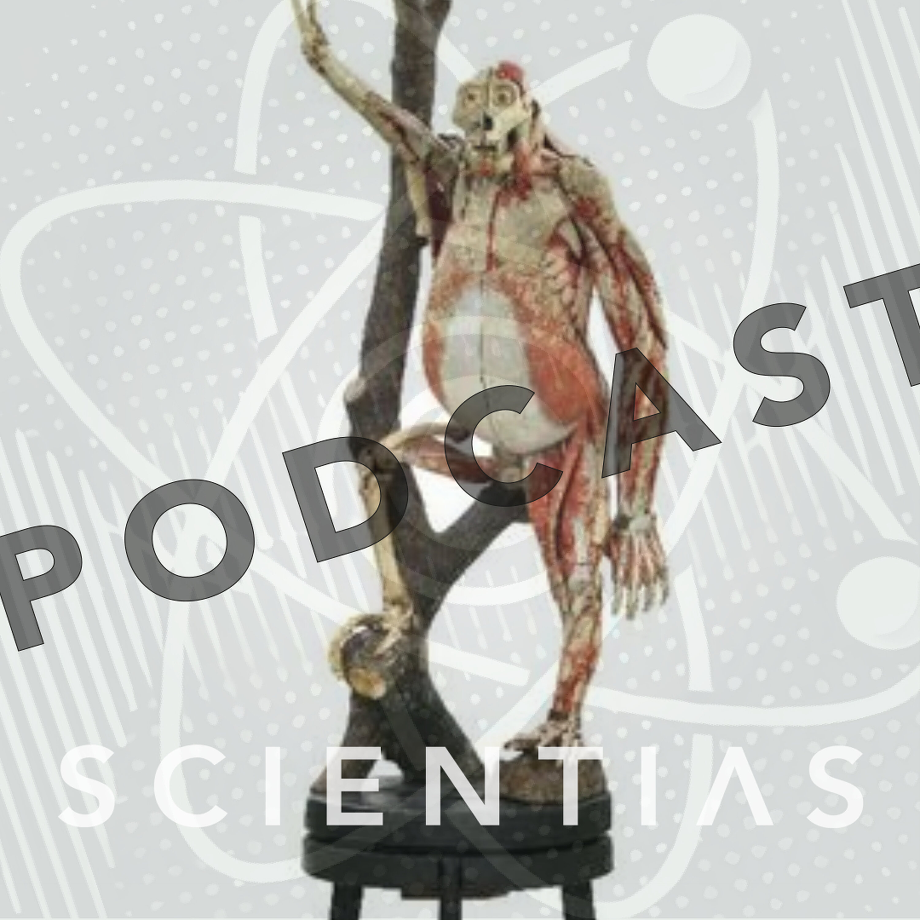 In de schatkamer van Boerhaave | Scientias Podcast 60 episode artwork