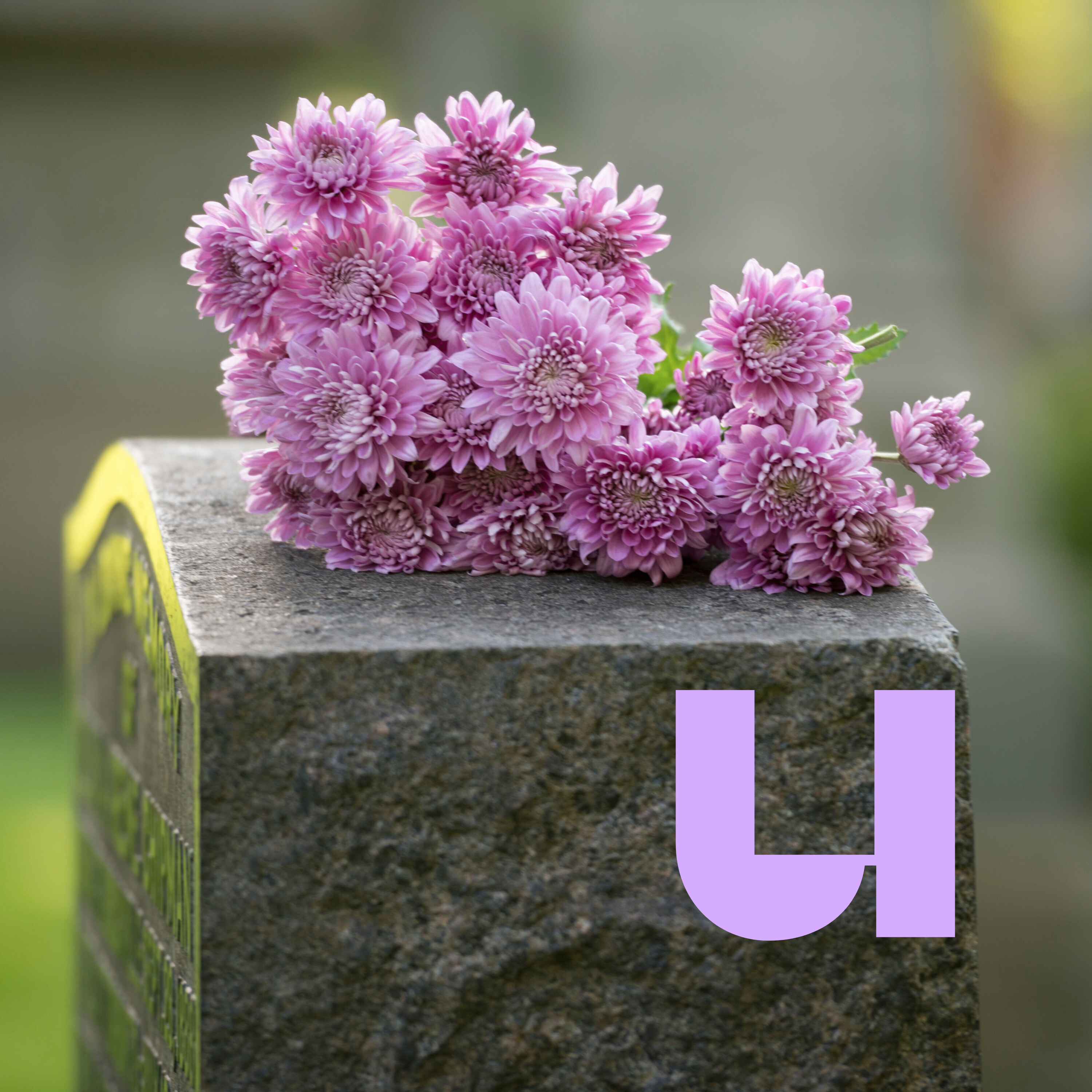 De Universiteit van Nederland Podcast