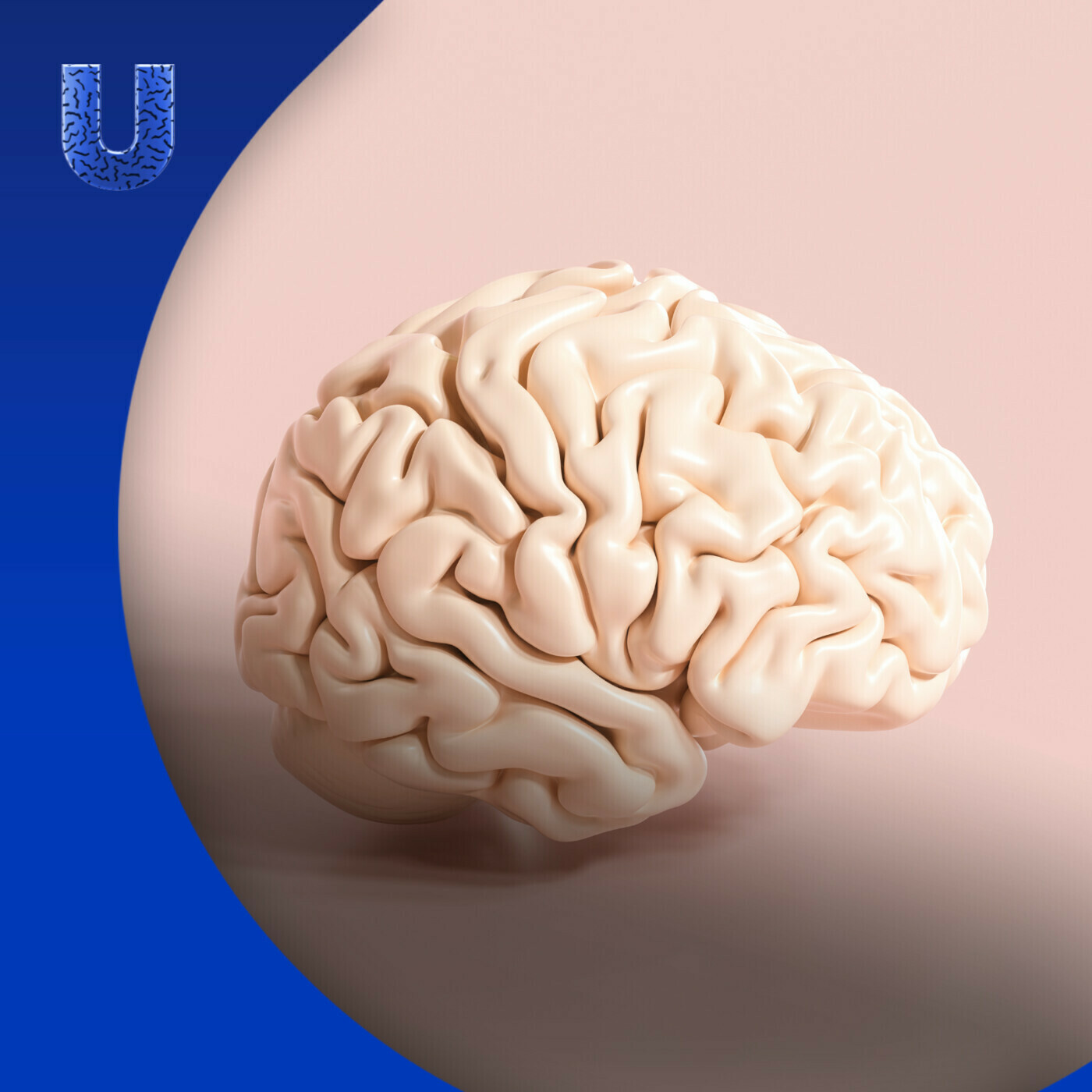 De Universiteit van Nederland Podcast