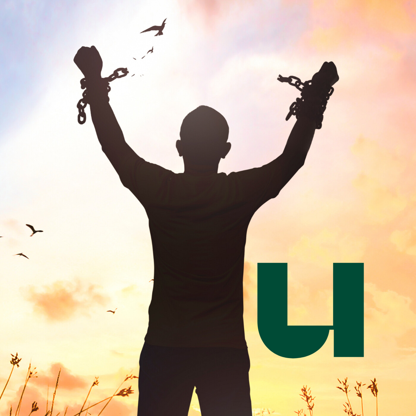 De Universiteit van Nederland Podcast