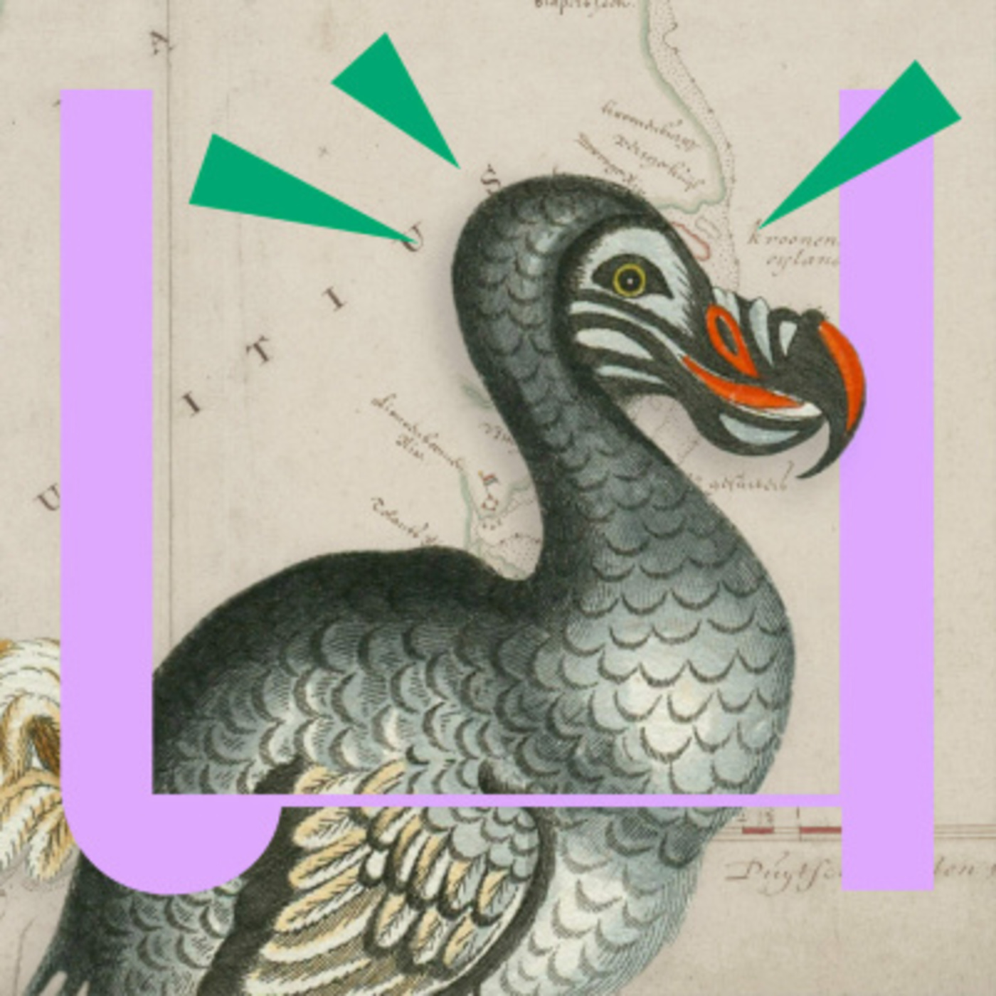 De Universiteit van Nederland Podcast