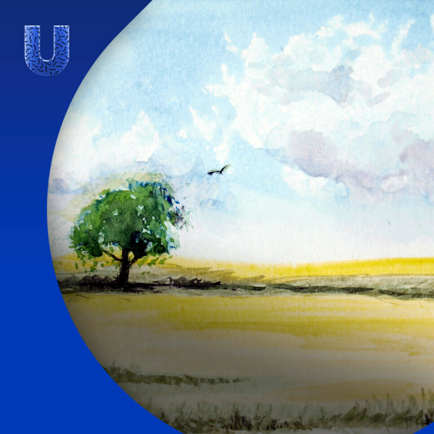 De Universiteit van Nederland Podcast