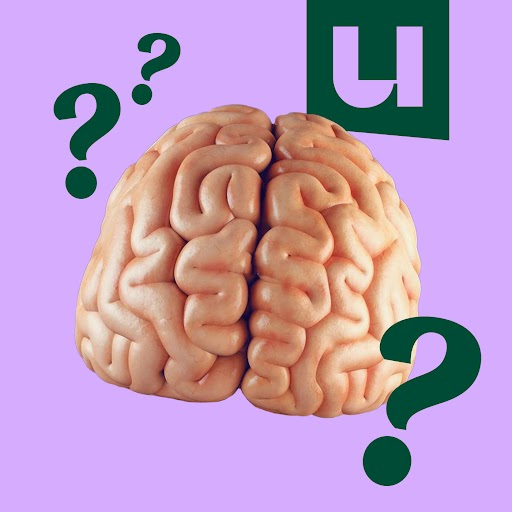 'Wie ben ik?' Luister onze NIEUWE podcast-serie vol wetenschap over jezelf