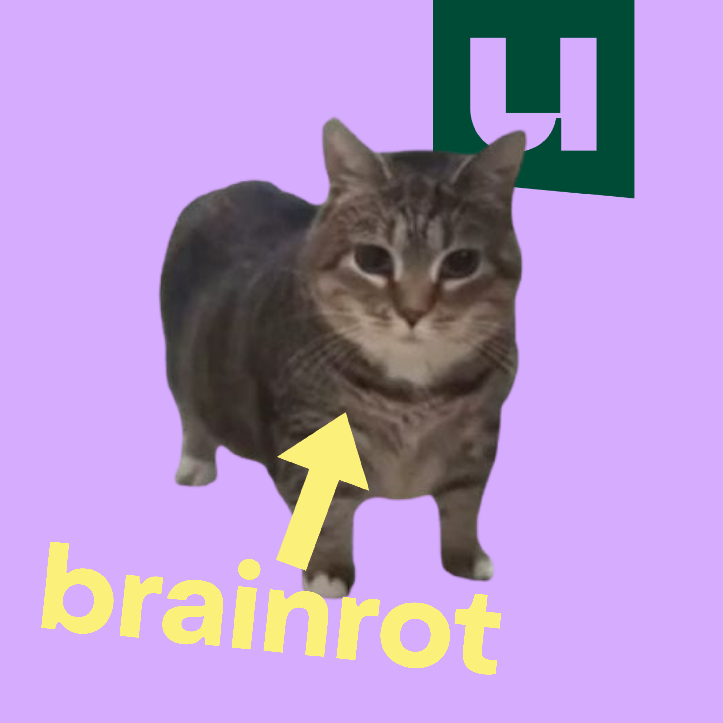 830. Gaat je brein echt 'rotten' van brainrot? episode artwork