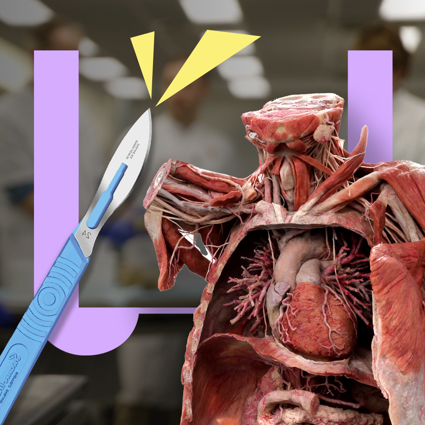De Universiteit van Nederland Podcast