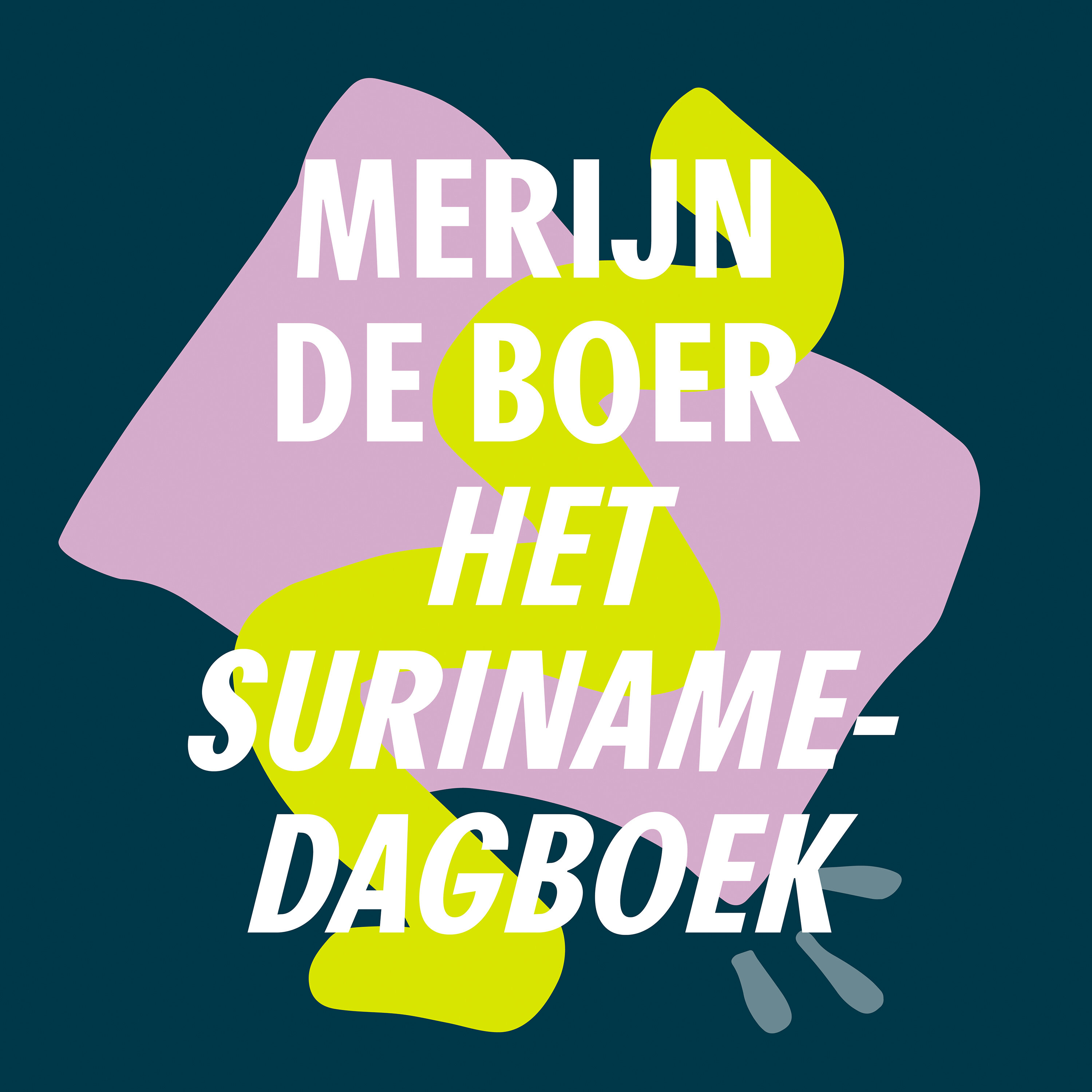 Op groepsreis | Merijn de Boer - Het Surinamedagboek