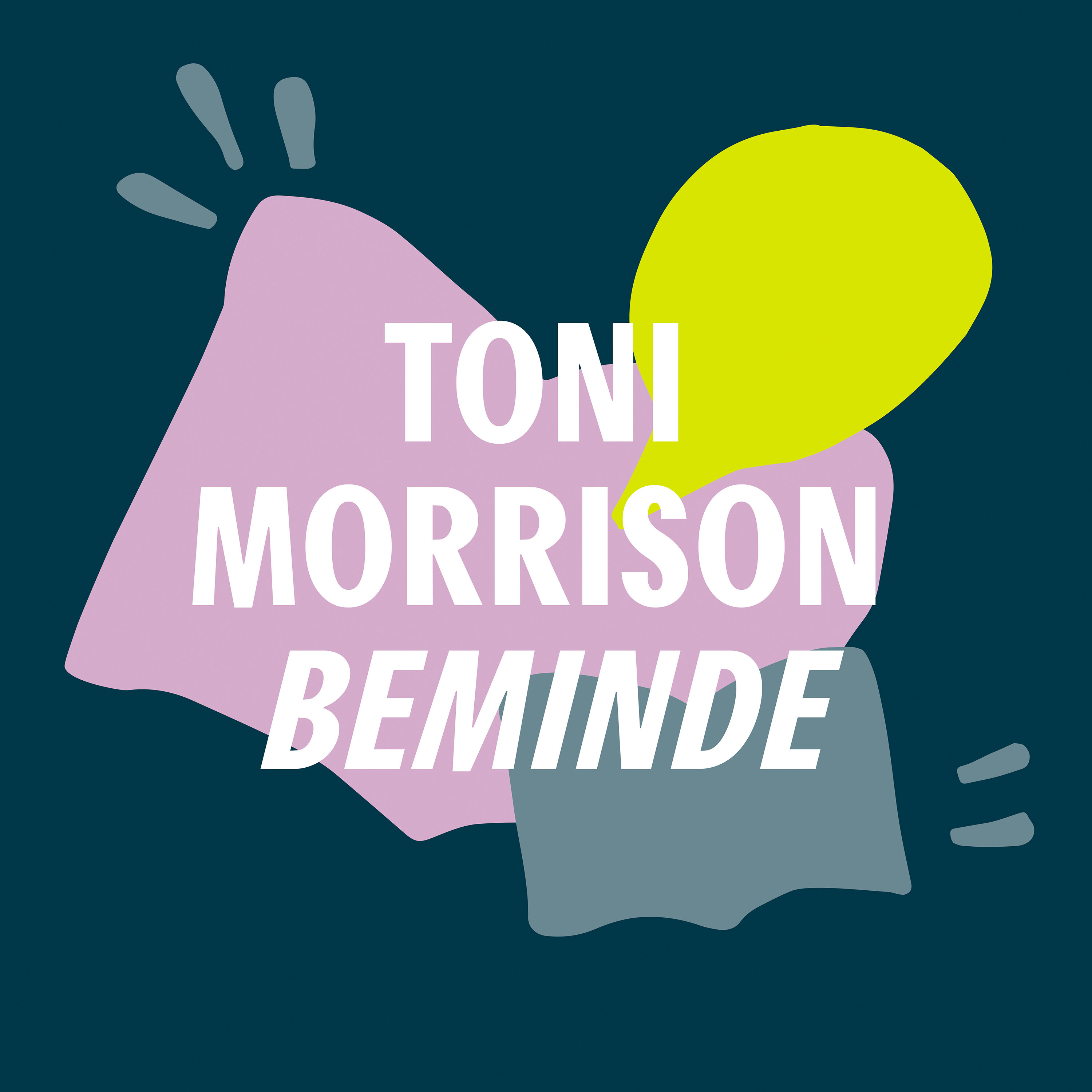 Een steen in de rivier | Toni Morrison - Beminde