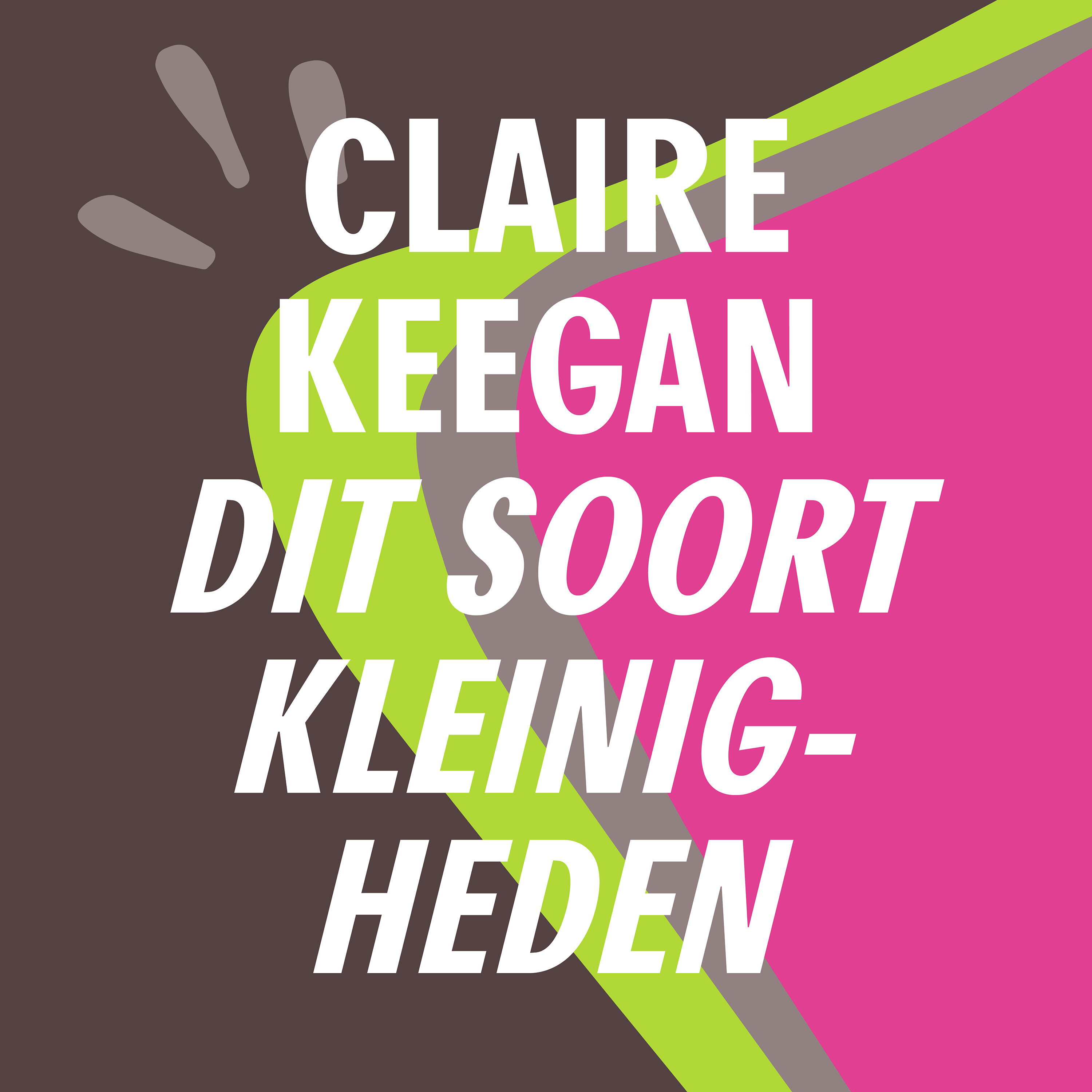 De Ierse National Treasure | Claire Keegan - Dit soort kleinigheden