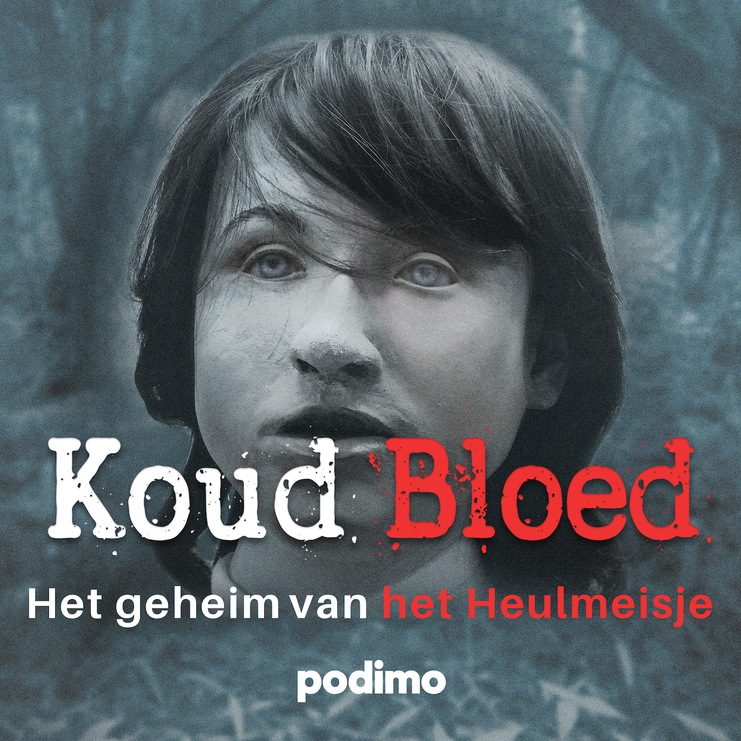 Vanaf 22 oktober: Koud Bloed - Het geheim van het Heulmeisje