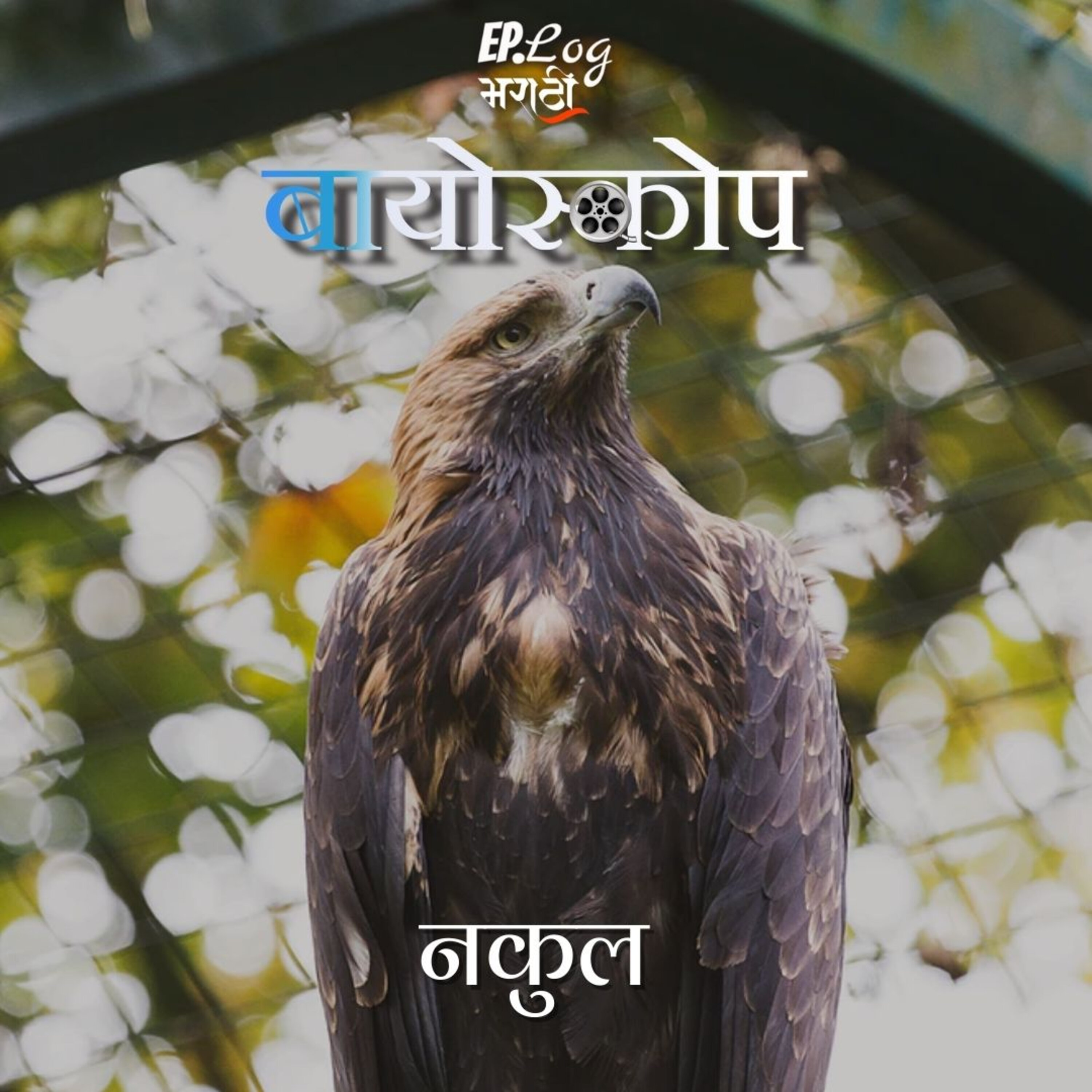 Nakul नकुल
