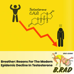 Breather: Reasons For The Modern Epidemic Decline In Testosterone
