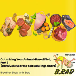 Optimizing Your Animal-Based Diet, Part 3: Carnivore Scores Food Rankings Chart (Breather episode with Brad)