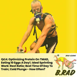 Q&A: Optimizing Protein On TMAD, Eating 10 Eggs A Day!; Ideal Sprinting Work:Rest Ratio; Best Time Of Day To Train; Cold Plunge - How Often?