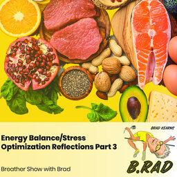 Energy Balance/Stress Optimization Reflections, Part 3: Could Eating More Food, And More Carbs, More Frequently Unlock Peak Performance And Minimize Stress? (Breather Episode with Brad)