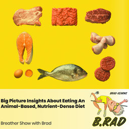Big Picture Insights About Eating An Animal-Based, Nutrient-Dense Diet (Breather Episode with Brad)