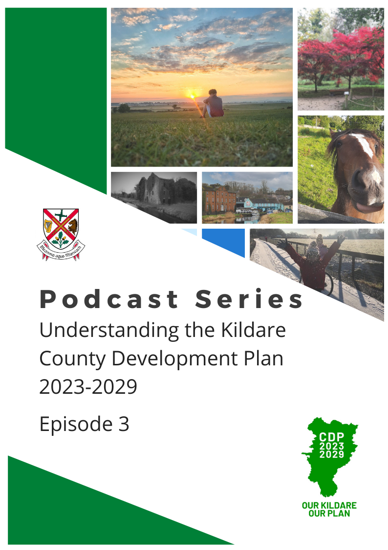 Kildare Co.Co. Ep3 - Allan Shine, CEO of County Kildare Chamber