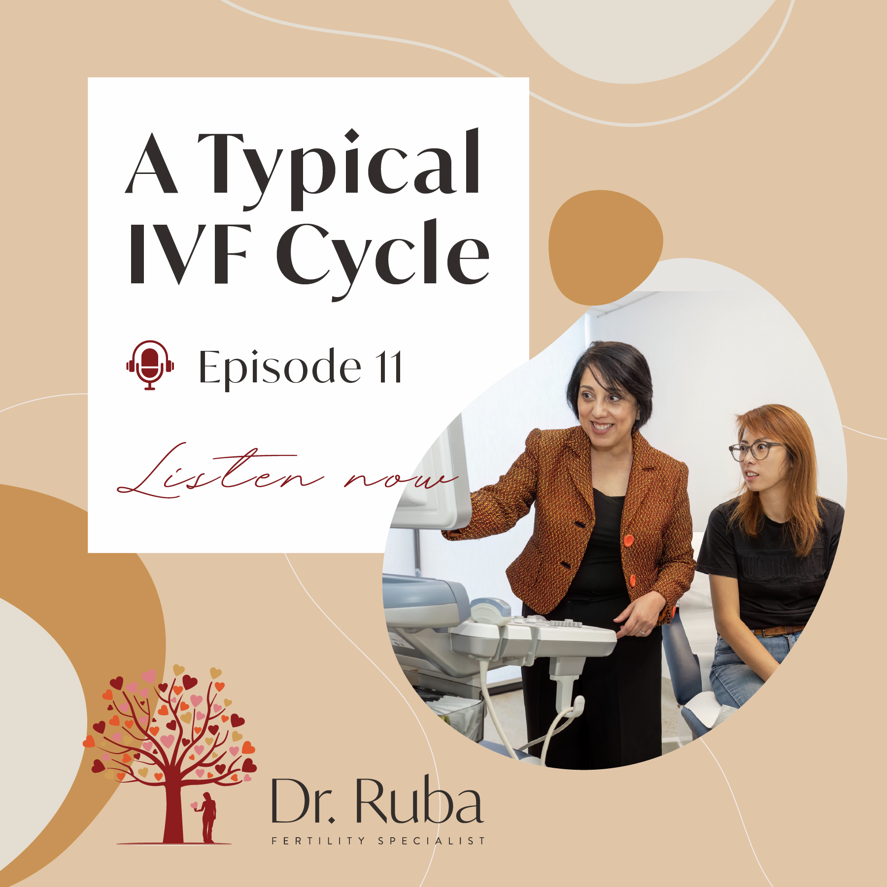 Episode 11: A Typical IVF Cycle