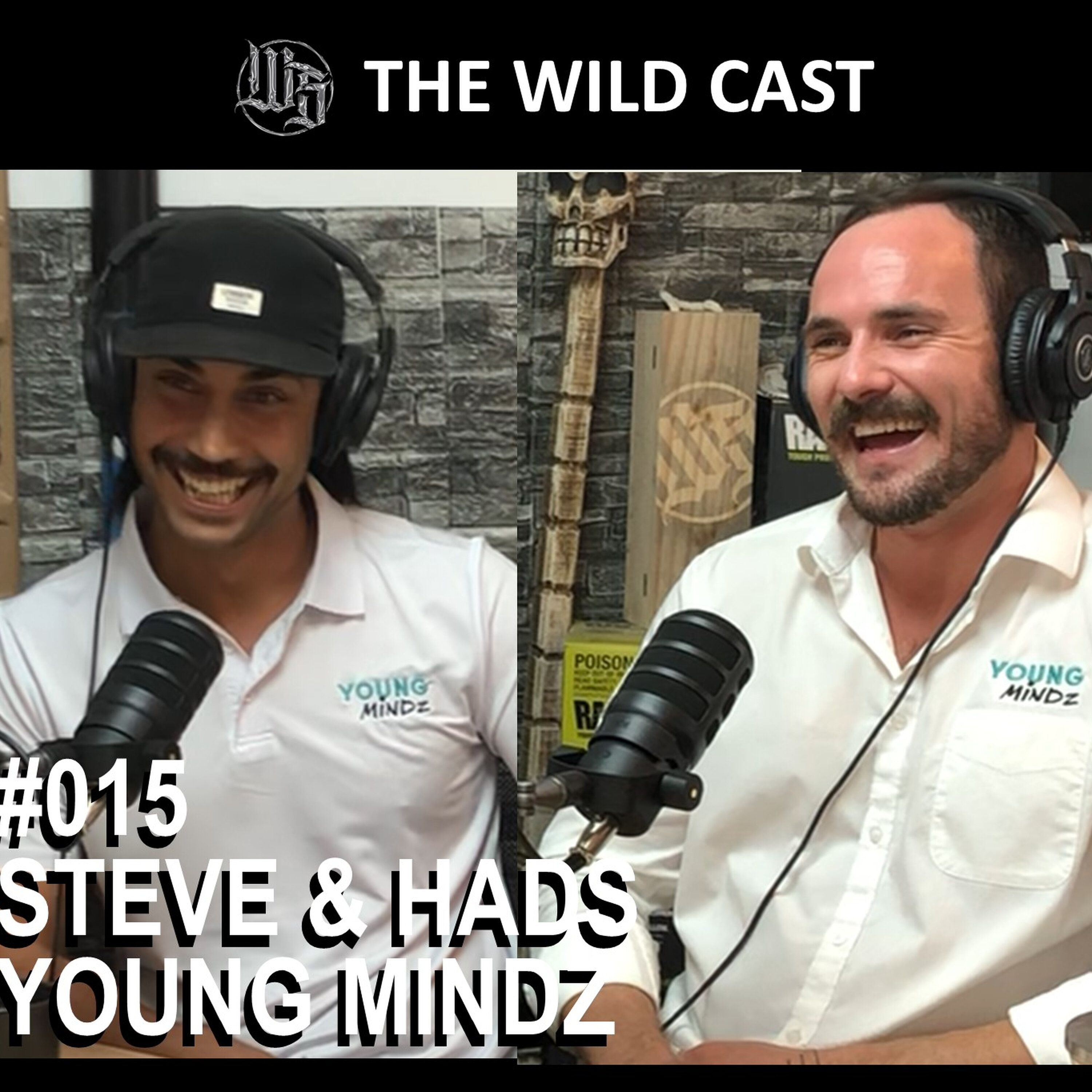 #015 Steve & Hads Young Mindz episode artwork