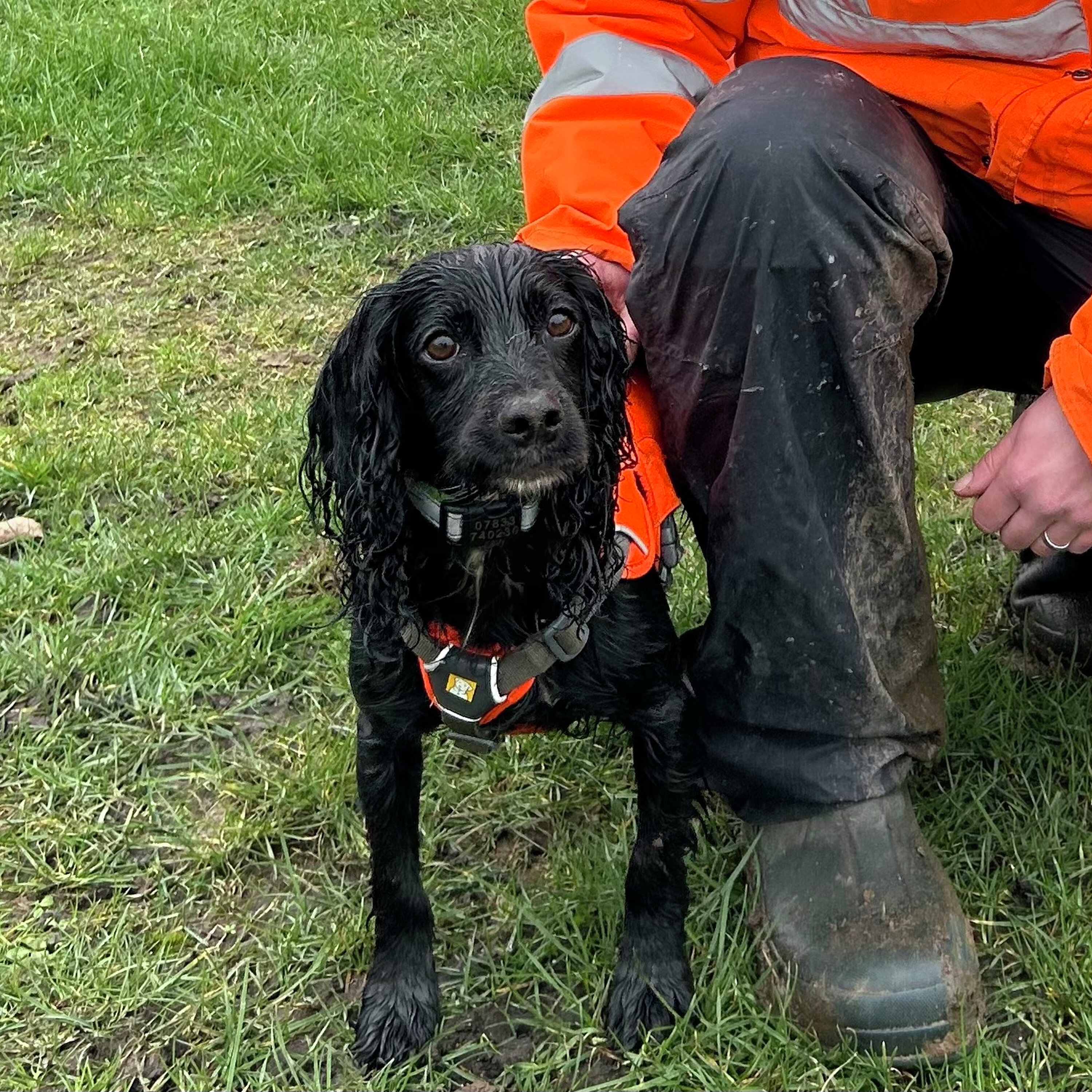 River, the signal crayfish detection dog episode artwork