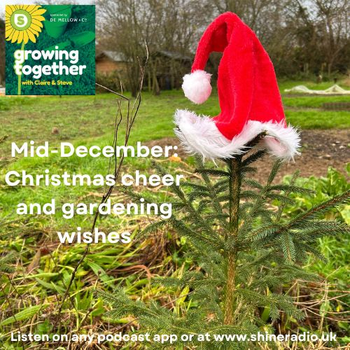 Growing Together - mid-December: Christmas Cheer & Gardening Wishes