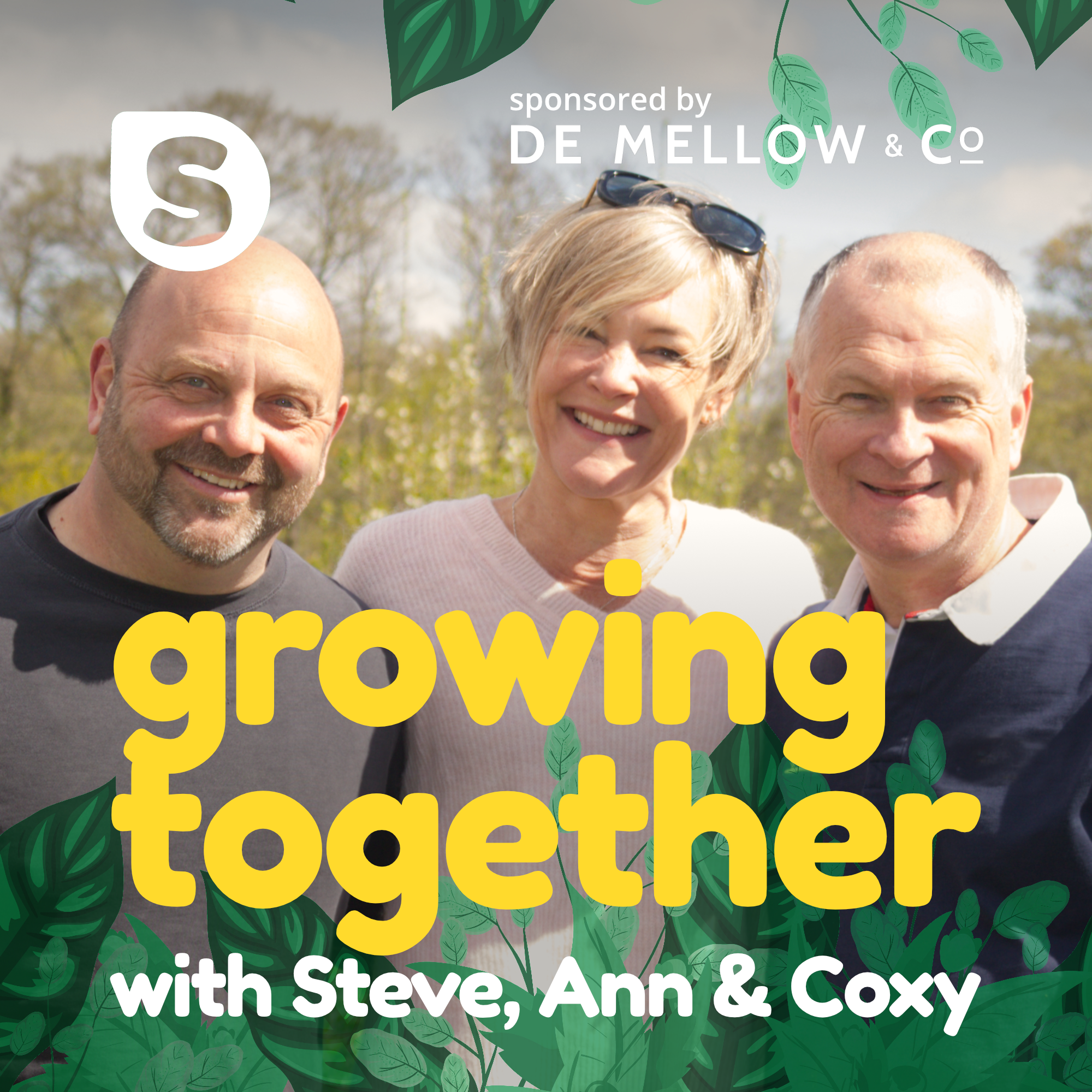 Growing Together - Mid April 2024: A busy time of year on the allotment and a chat with a tree surgeon about the Sheet chestnut tree