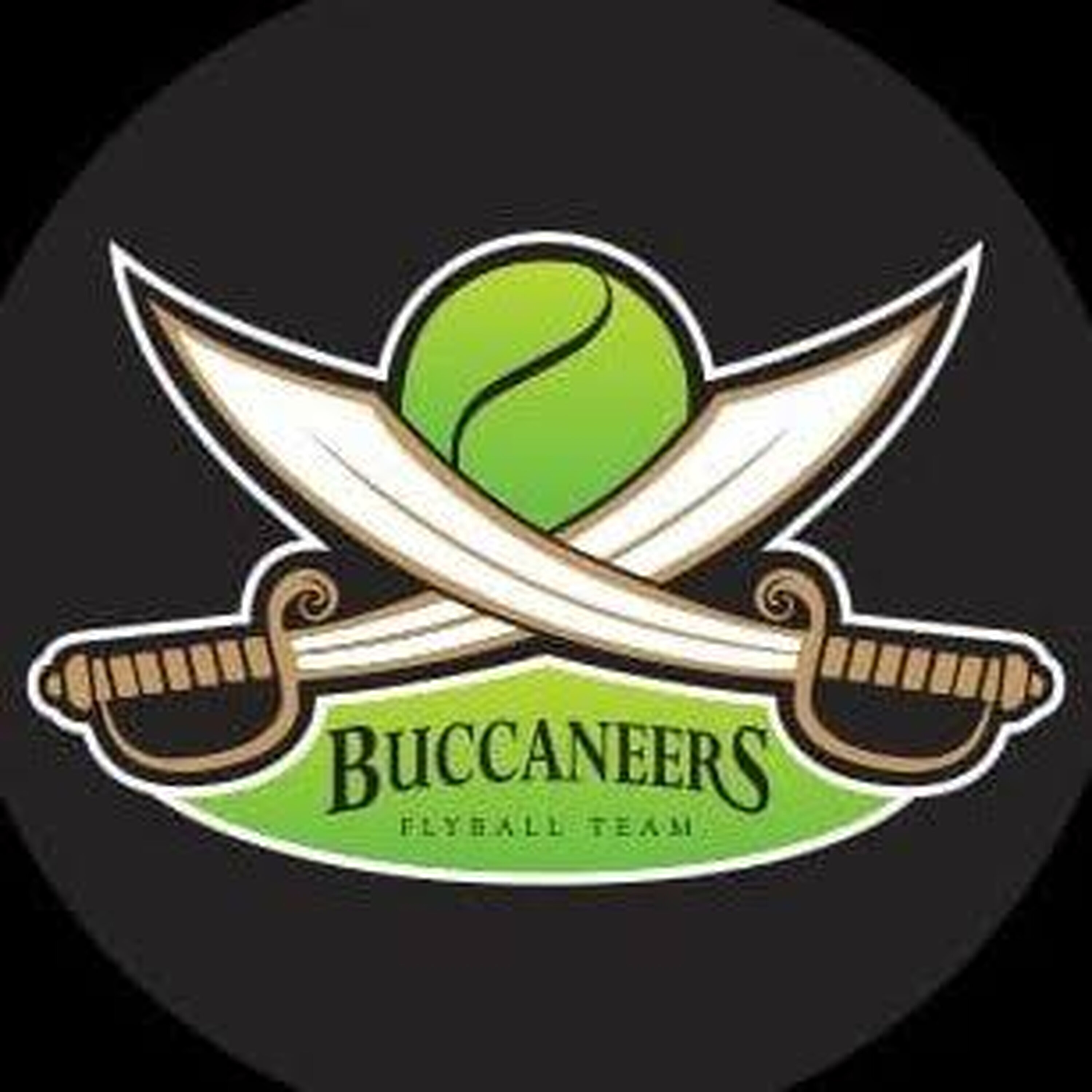 Meet the Flyball Buccaneers - a team of canine athletes Meet the Flyball Buccaneers - a team of canine athletes