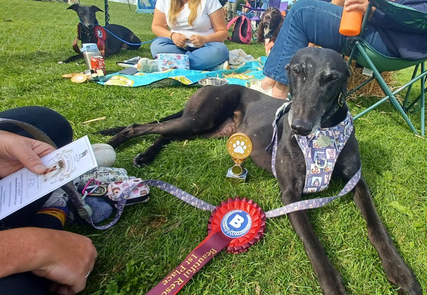 Bentleys Charity Dog Show Raises the Woof at New Location