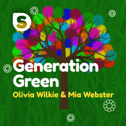 Generation Green - Manicured Sloths & Steep Primary School