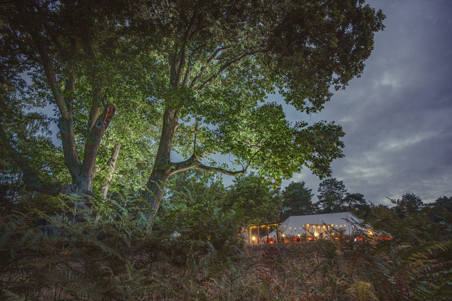 the P pod on location at Wylds Farm in Liss