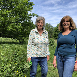 A Petersfield nature reserve is becoming more accessible