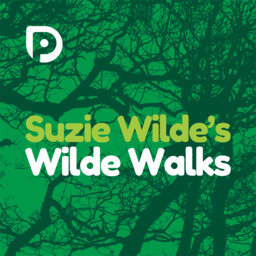 Wilde Walk: on Mill Lane in Steep