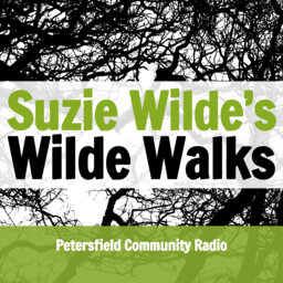Wilde Walk: the Hangers, Ashford and Steep
