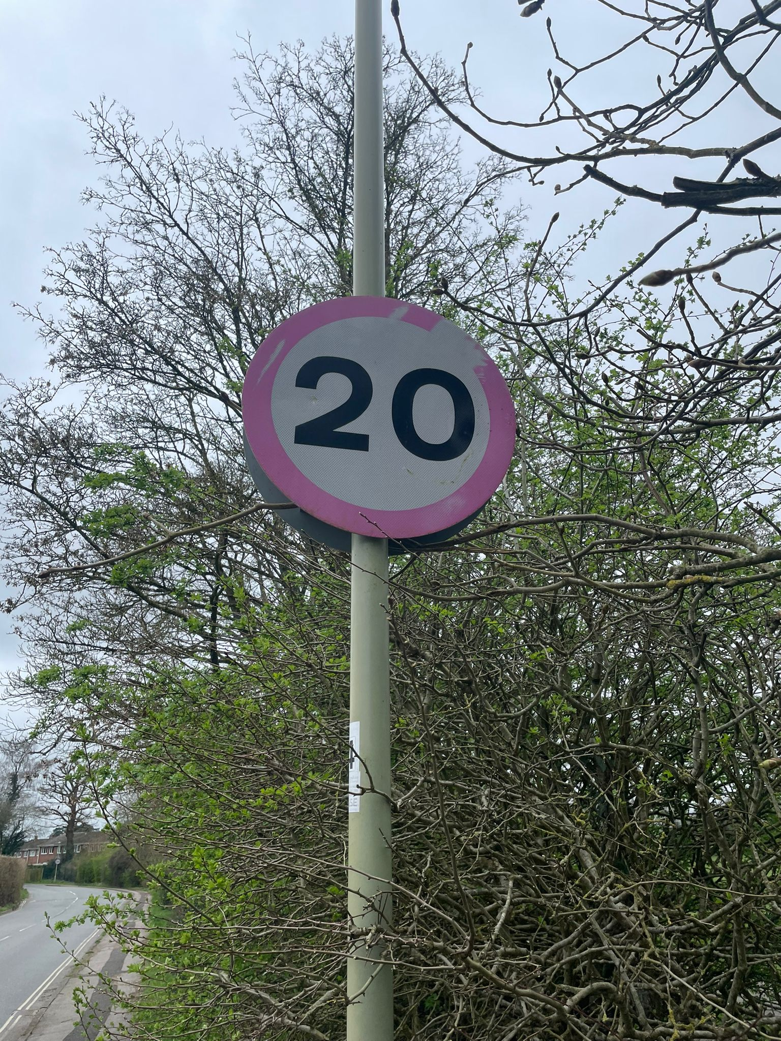 Is a blanket 20mph zone in Petersfield Town Centre needed?