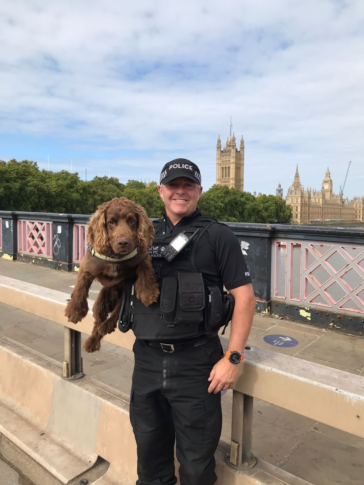 Police Dog Ted, the explosives detection dog