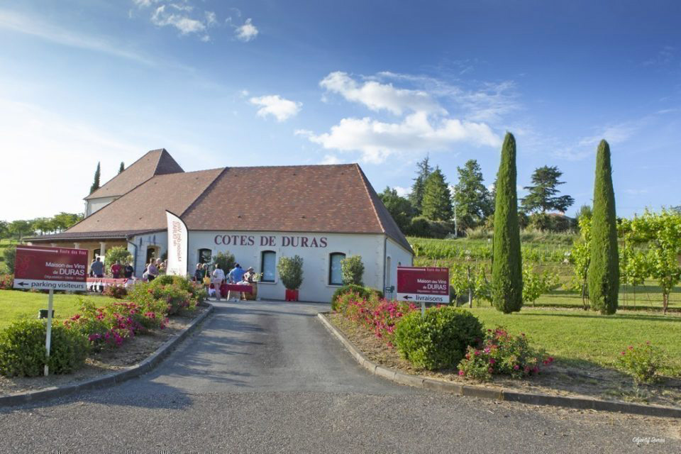 Drinking with Phill and Mags – Jan 2026