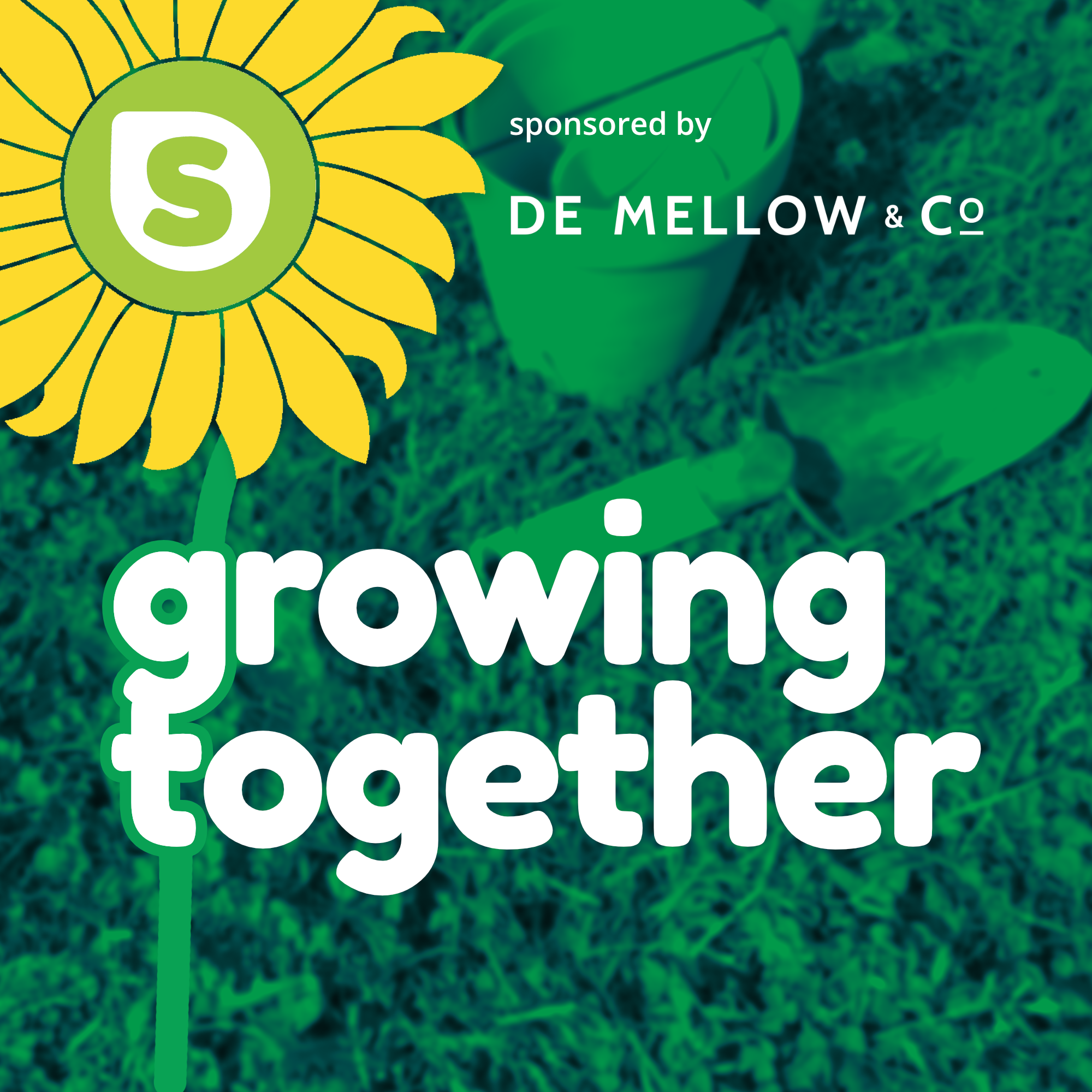 Growing Together - Early April 2024: Coxy's carrots, potting on and time travelling through ancient gardens