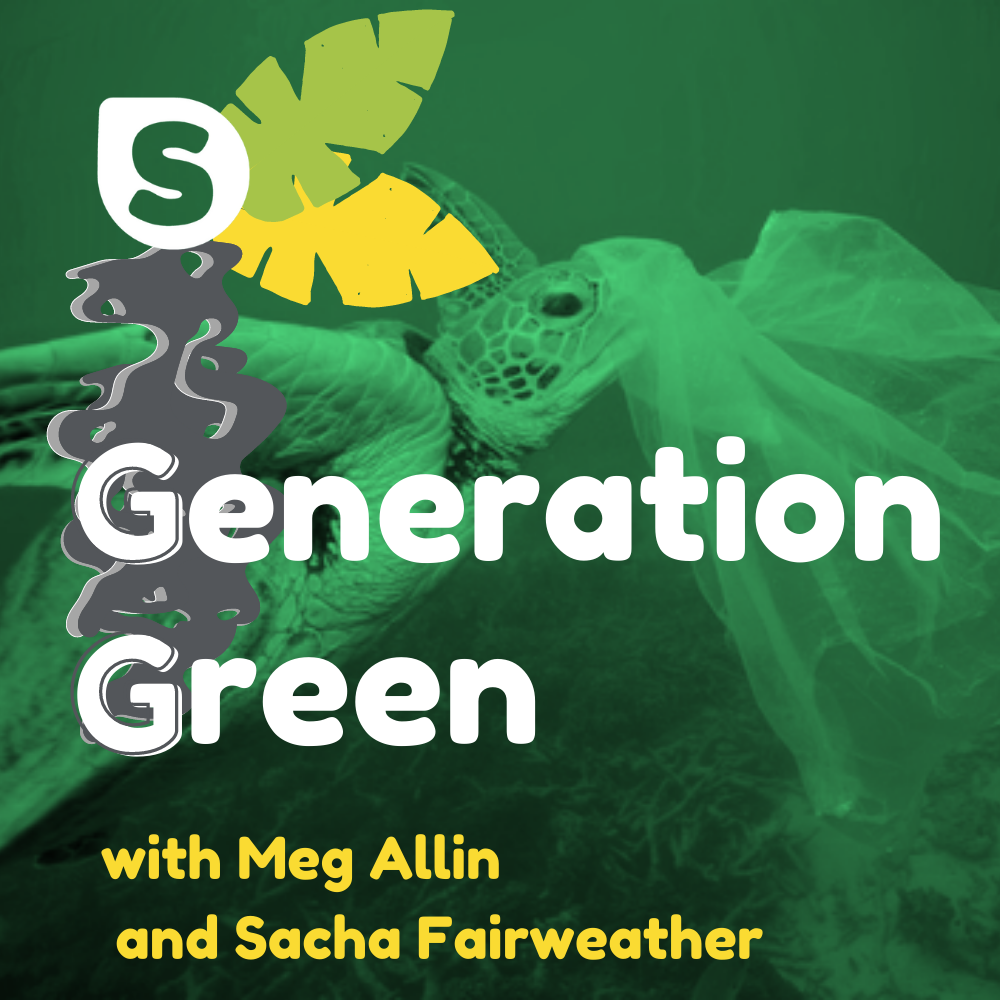 Generation Green - the plastic peril