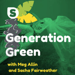 Generation Green - Greenwashing