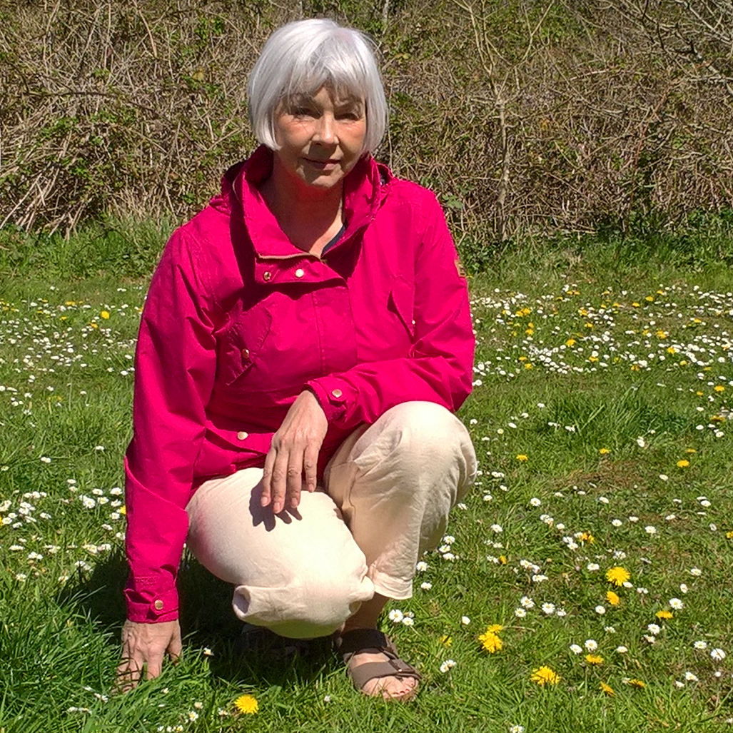 Campaigners want less verge mowing in Petersfield