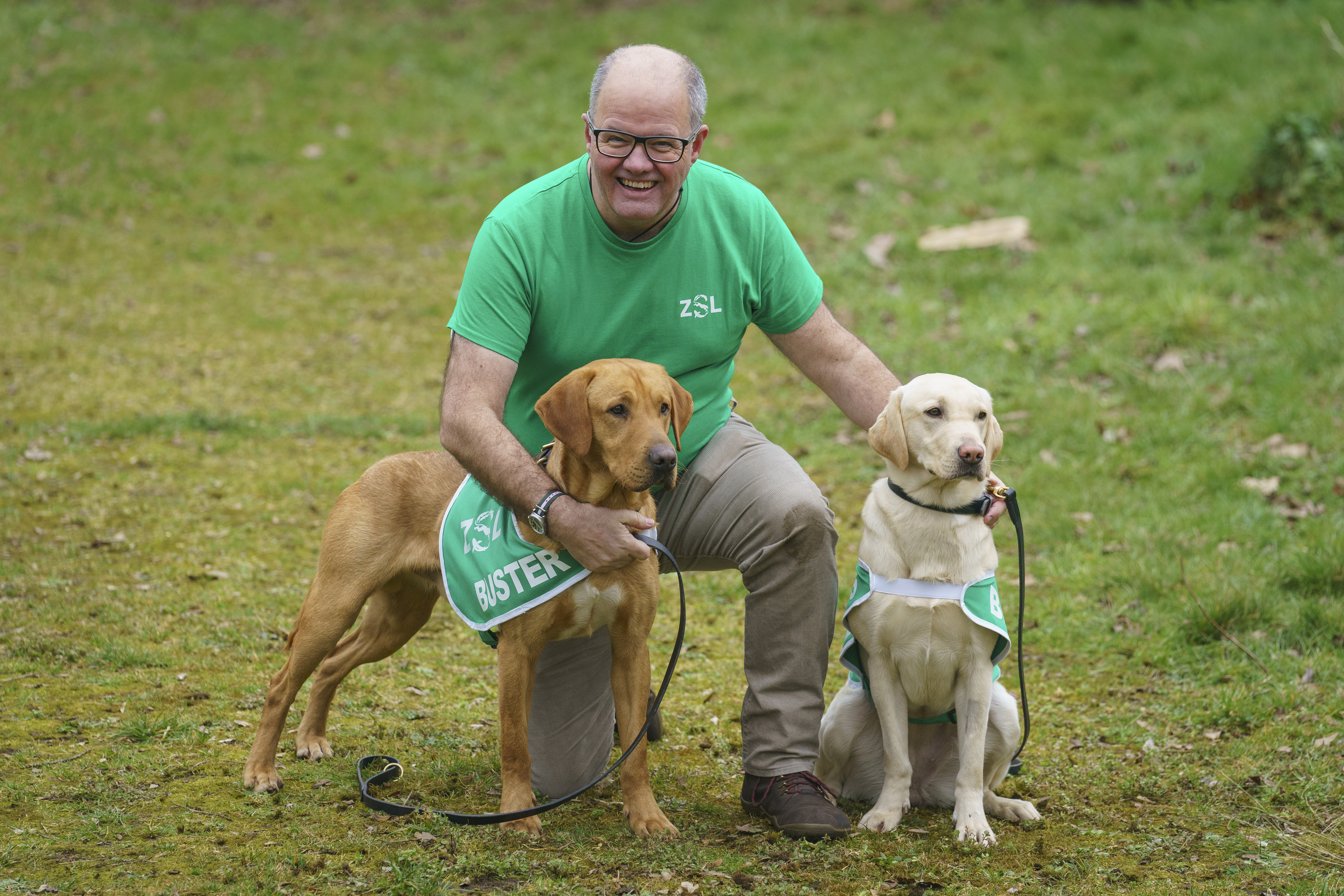 Dogs with Jobs