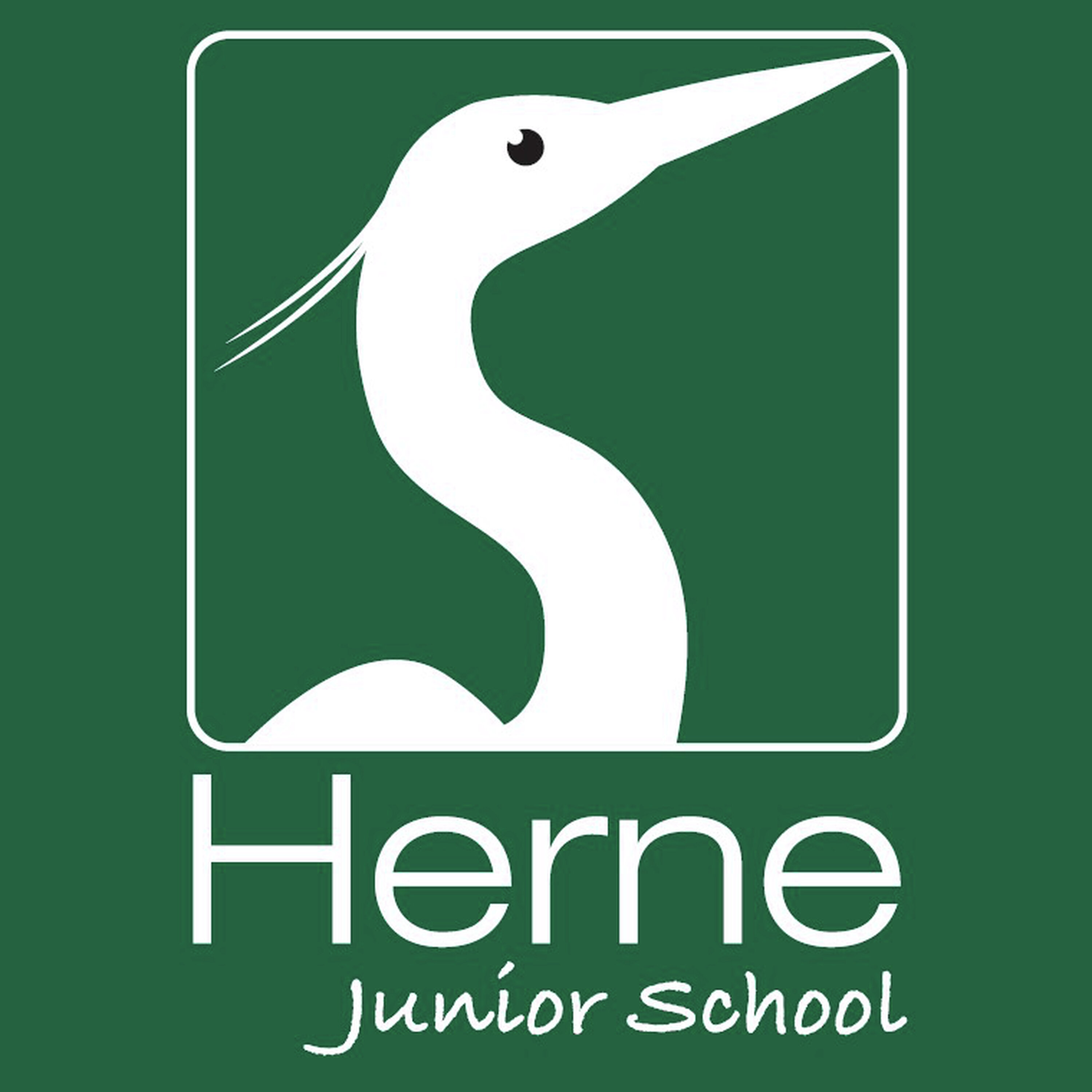 A musical highlight for Herne Junior pupils episode artwork