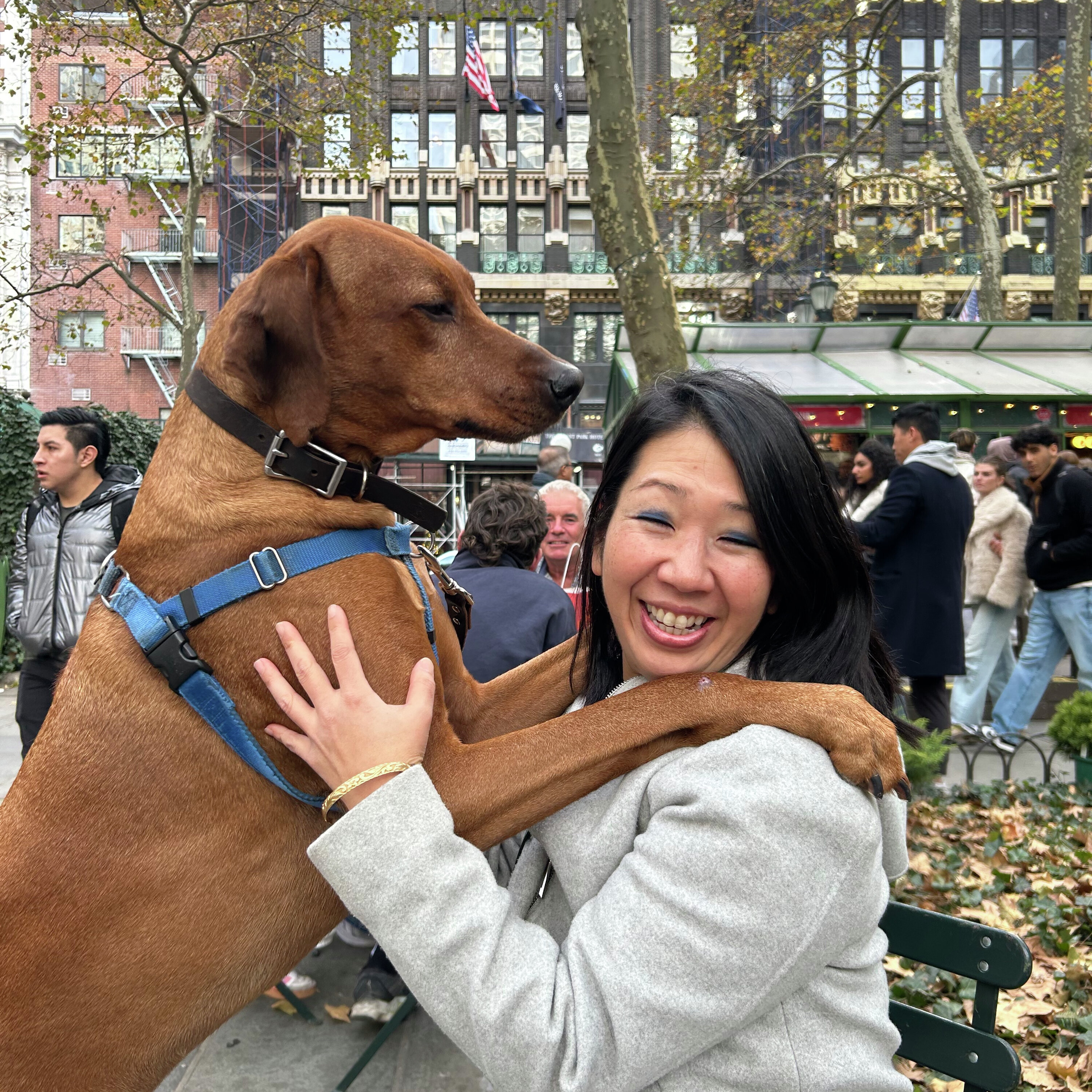 Koa, the therapy dog working in Manhattan schools and hospitals episode artwork