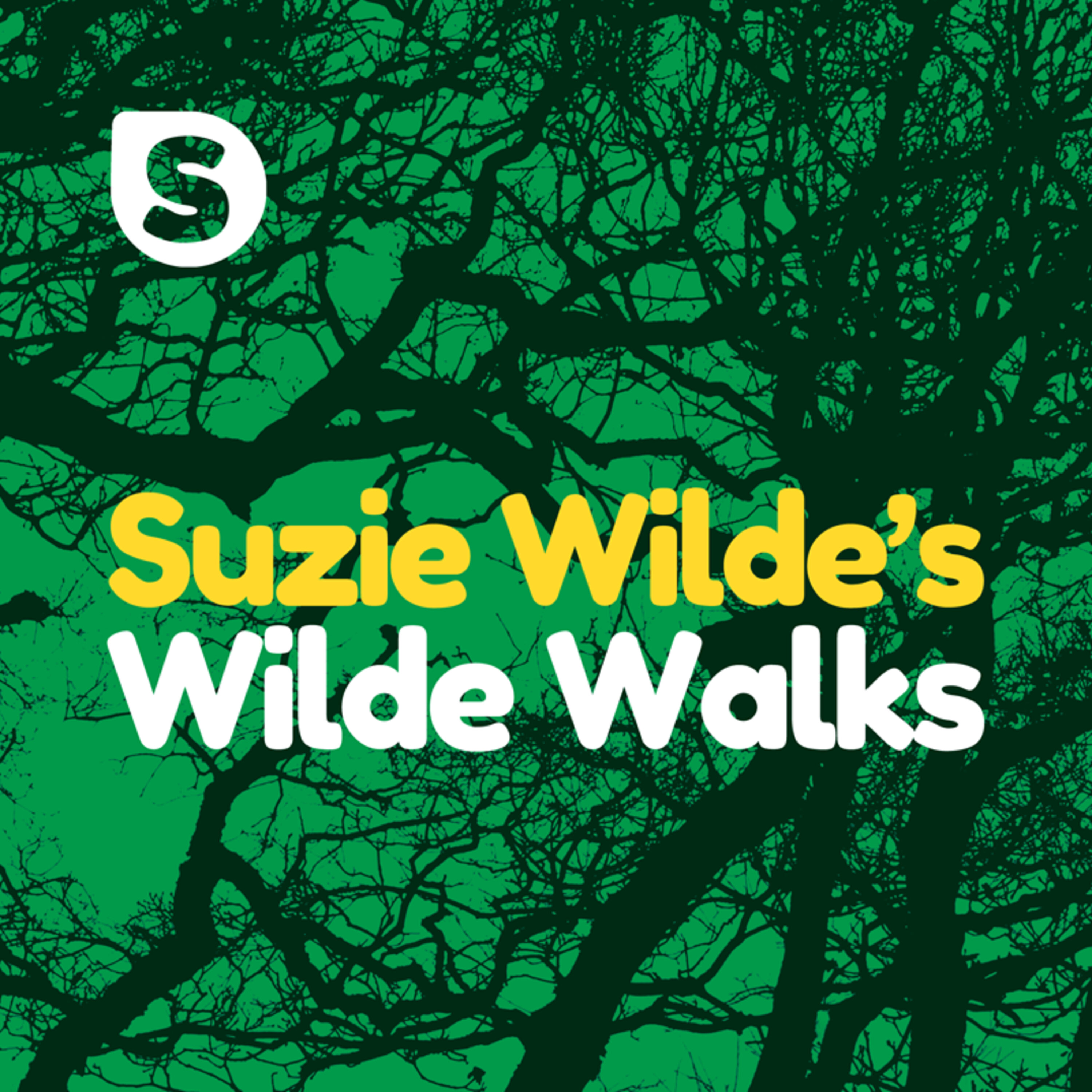 Wilde Walk: Blackdown