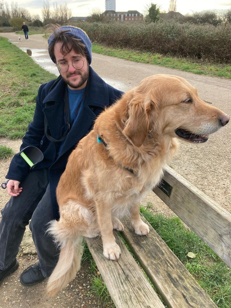 Dogs with Jobs