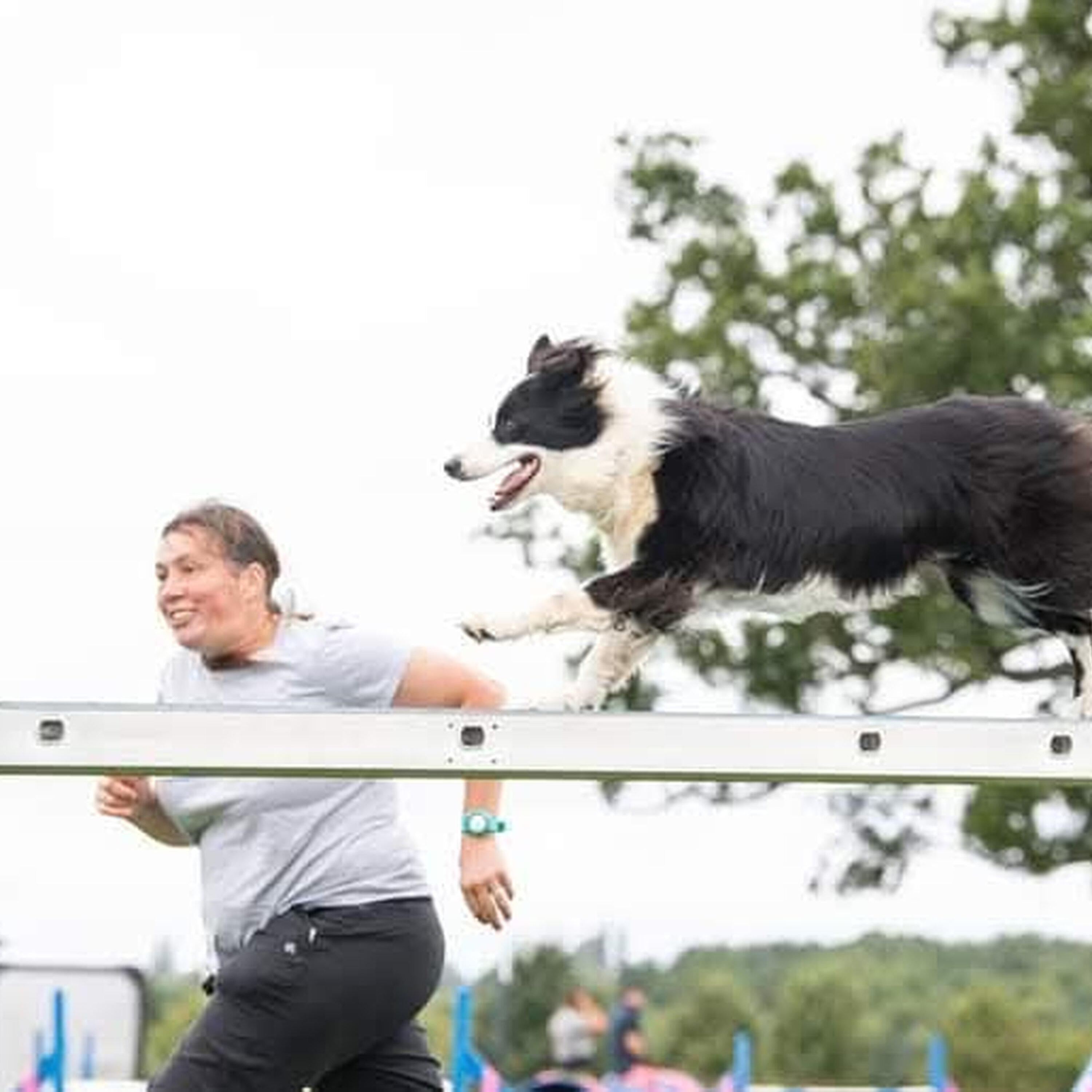 Peggy Sue, the veteran agility dog and an overveiw of agility as a sport episode artwork