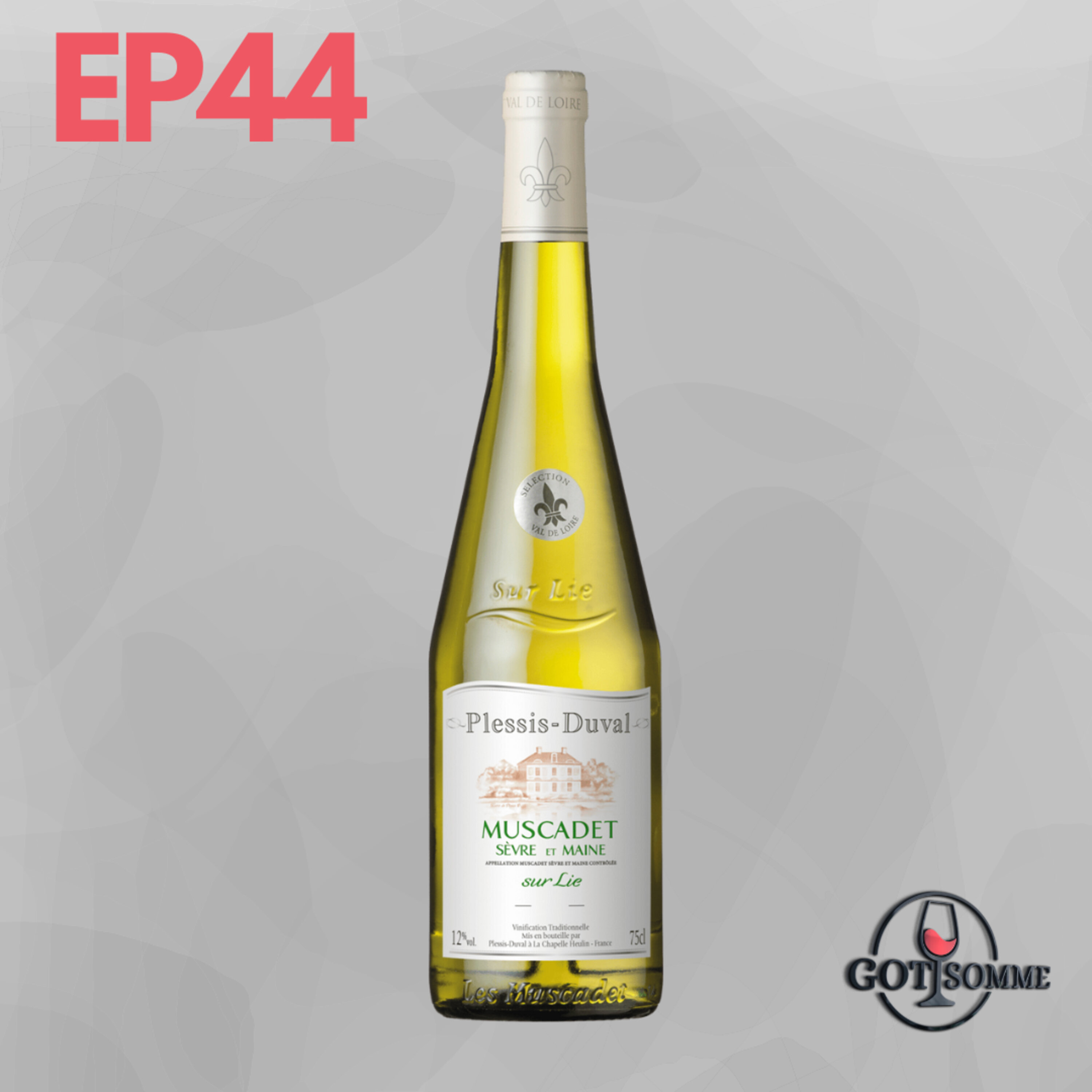 Muscadet - 2020 Plessis Duval, Loire Valley, France Episode cover